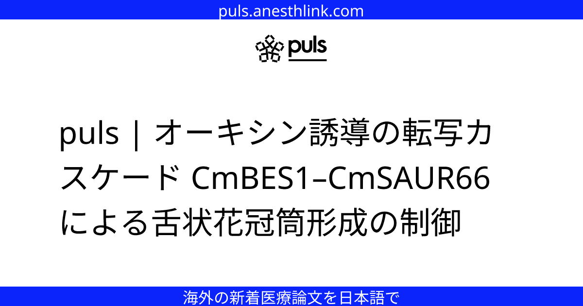 puls | オーキシン誘導の転写カスケード CmBES1–CmSAUR66 による舌状花冠筒形成の制御