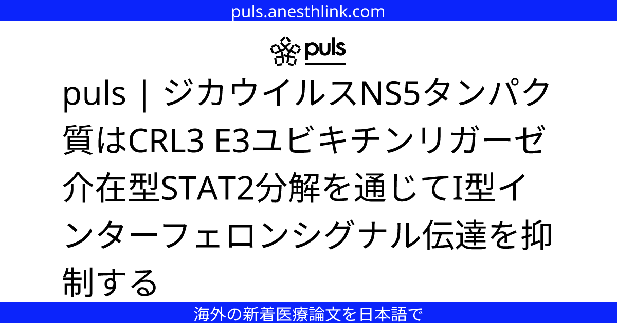 puls | ジカウイルスNS5タンパク質はCRL3 E3ユビキチンリガーゼ介在型STAT2分解を通じてI型インターフェロンシグナル伝達を抑制する