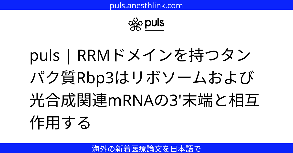 puls | RRMドメインを持つタンパク質Rbp3はリボソームおよび光合成関連mRNAの3'末端と相互作用する
