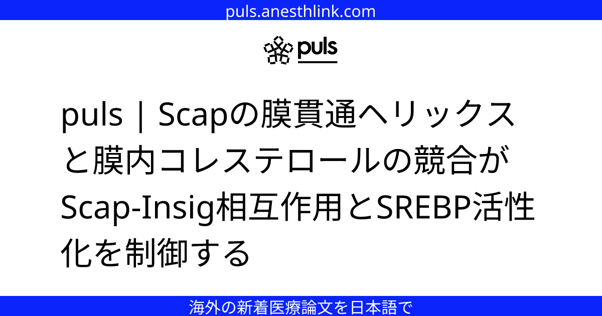 puls | Scapの膜貫通ヘリックスと膜内コレステロールの競合がScap‑Insig相互作用とSREBP活性化を制御する